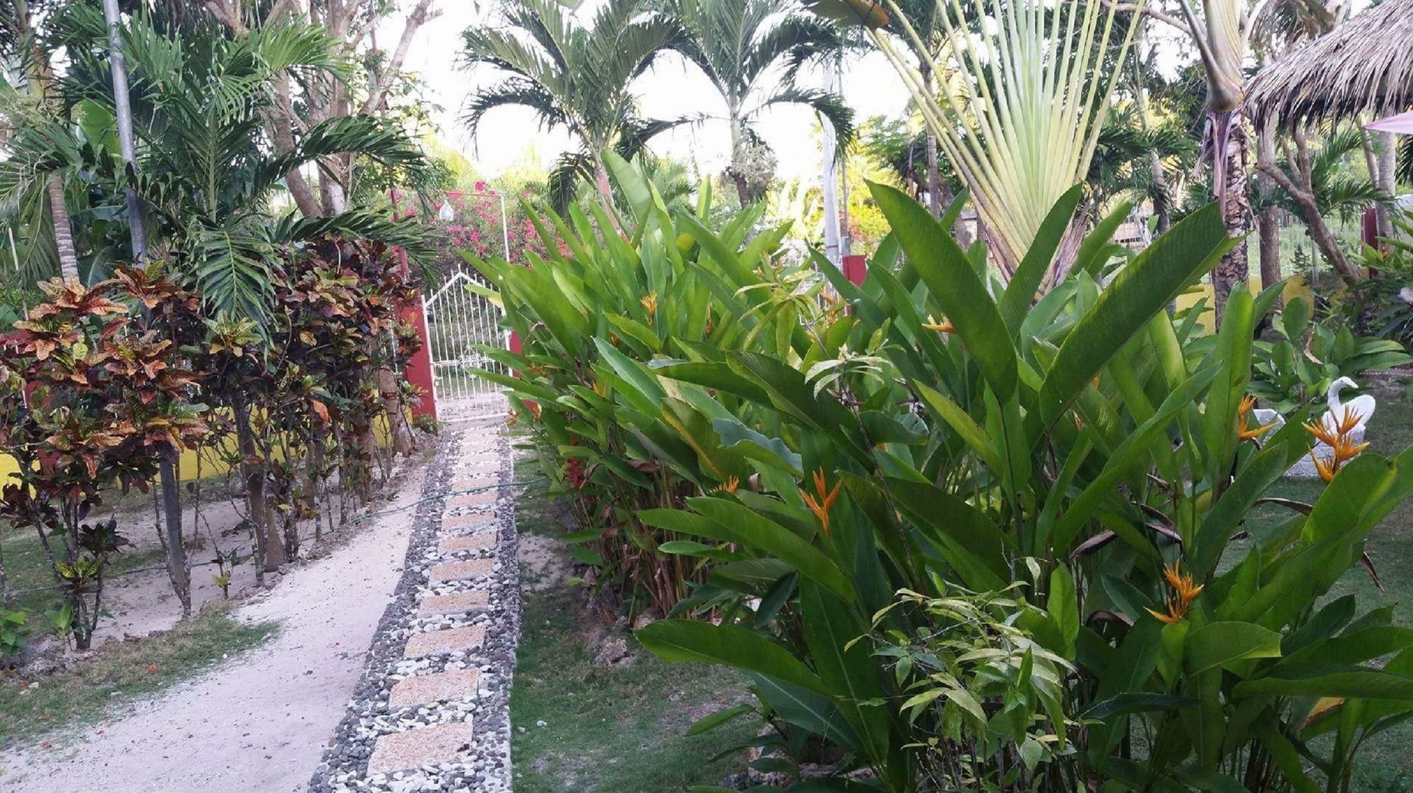 פנגלאו Traville Huts Palm Beach Inn מראה חיצוני תמונה